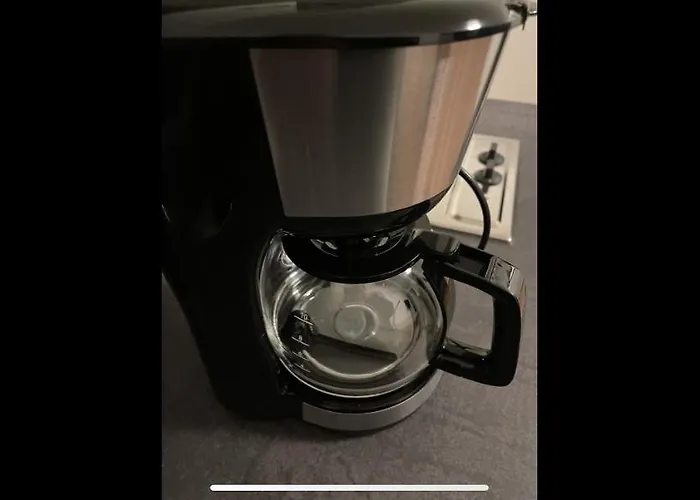 Wohnen Auf Zeit Am Weinberg 特里尔